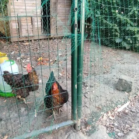 La Demeure Du Figuier